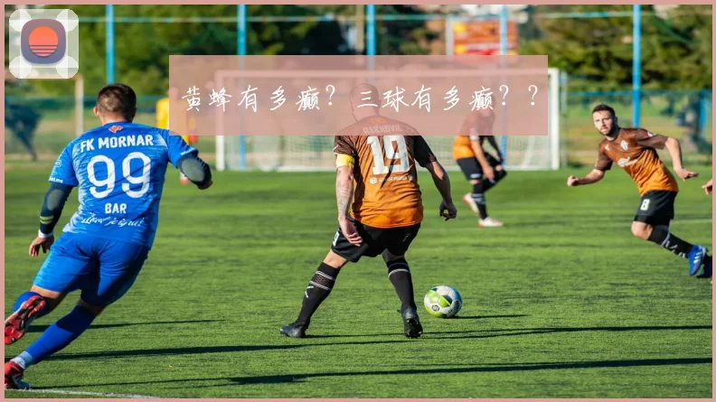 黄蜂有多癫？三球有多癫？？